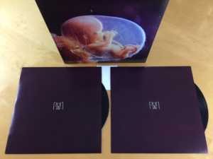 Embryo Vinyl Inhalt