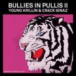 Bullies in Pullis 2