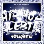 Hip Hop Lebt Vol. 3