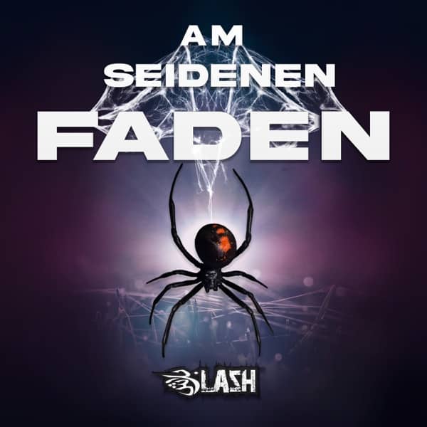 Cover von Am seidenen Faden