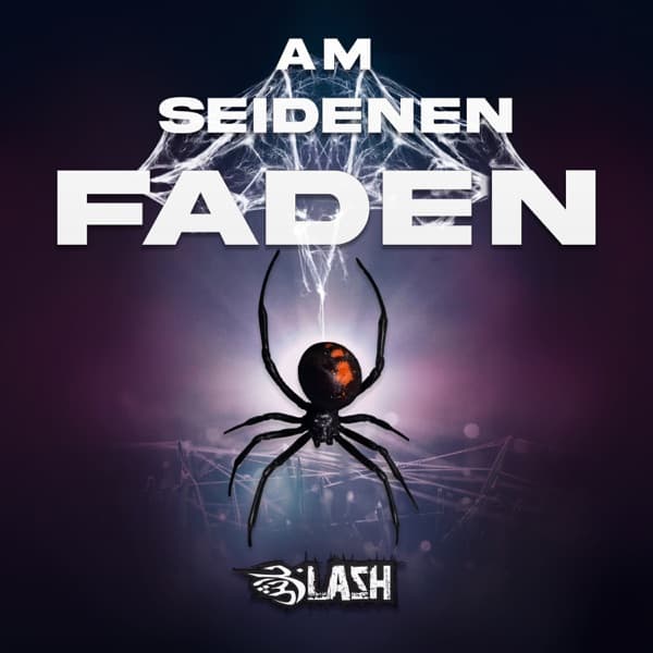 Cover von Am seidenen Faden
