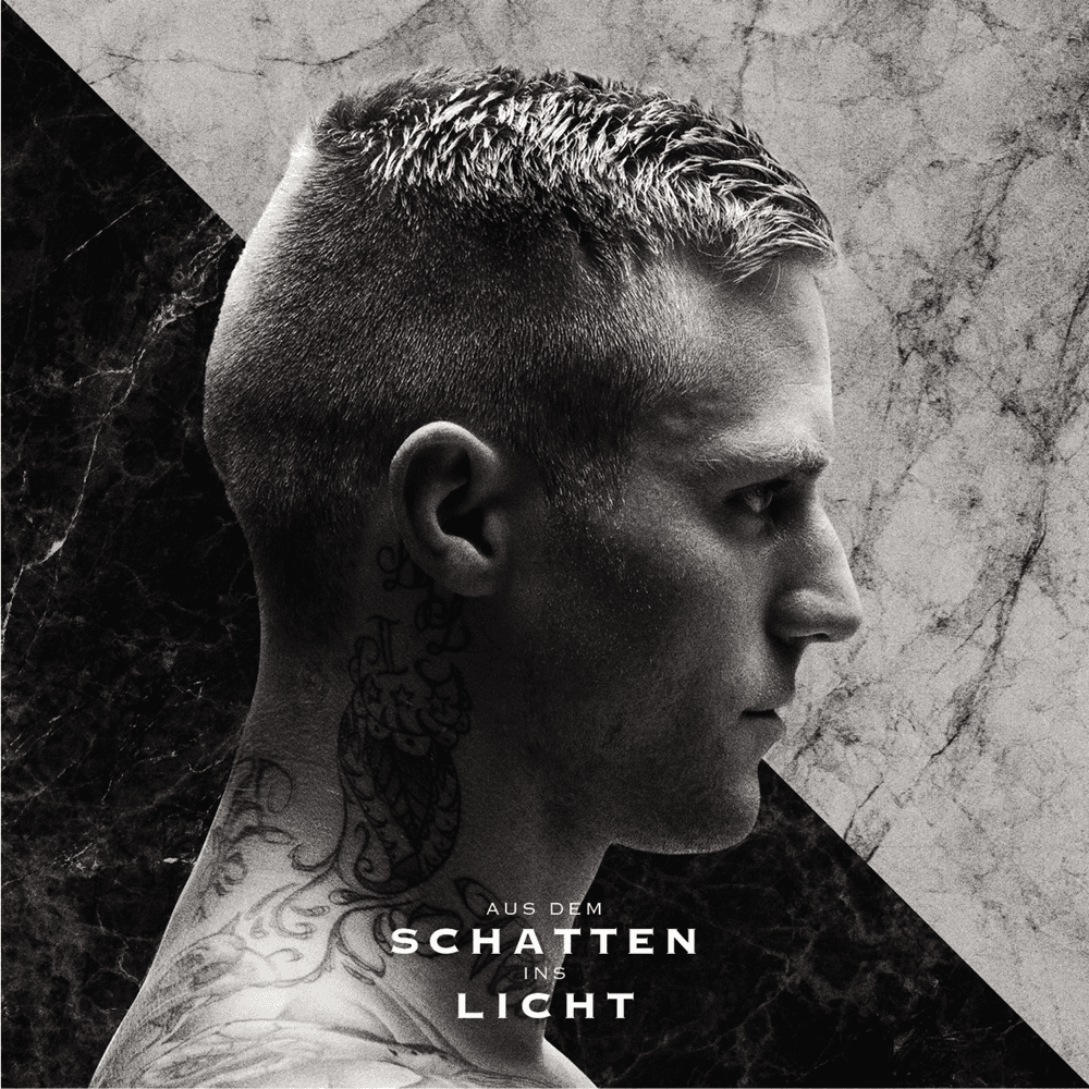 Cover von Aus dem Schatten ins Licht