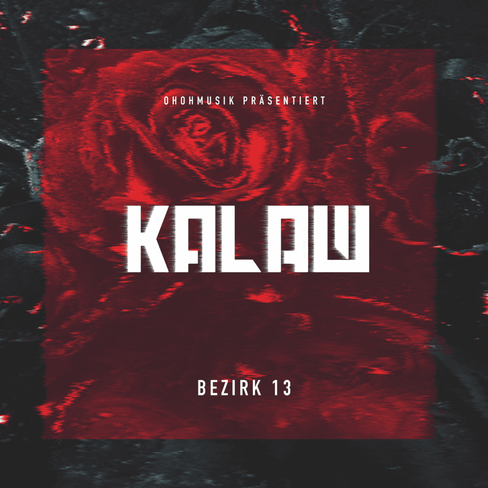 Cover von Bezirk 13
