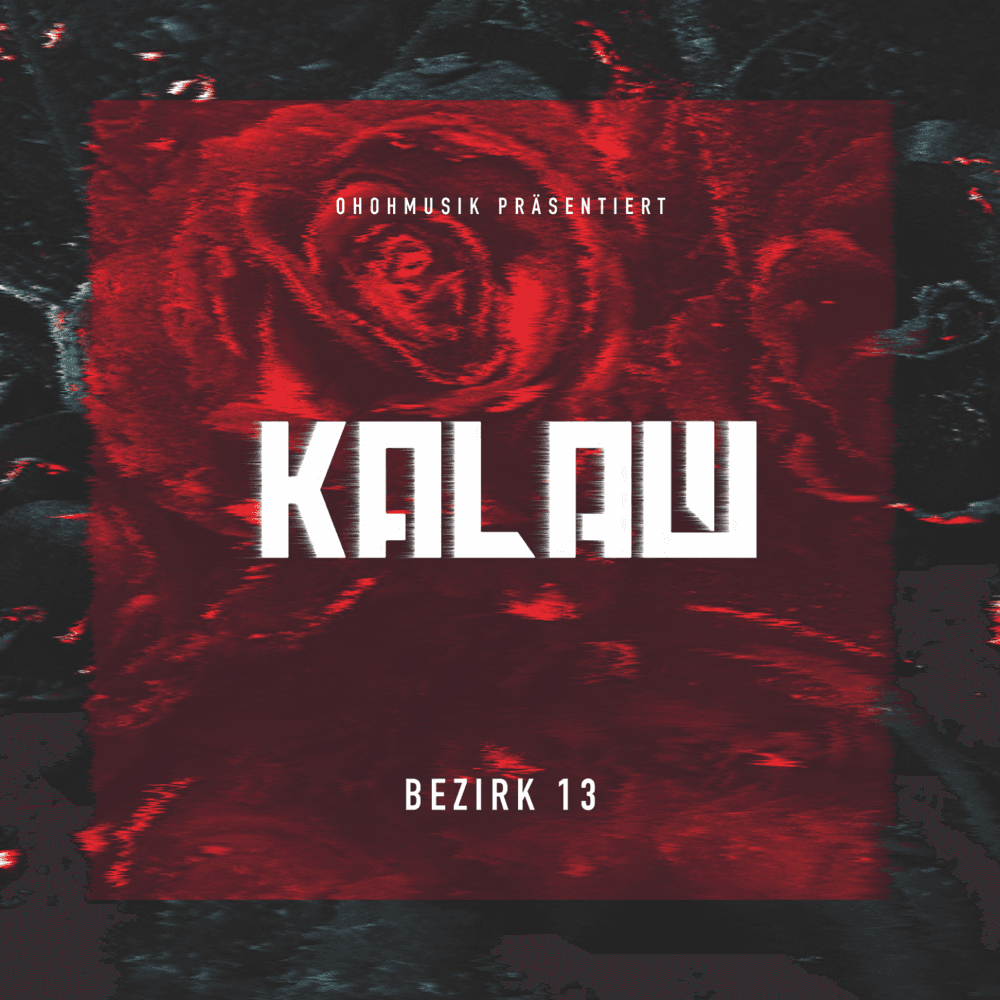 Cover von Bezirk 13