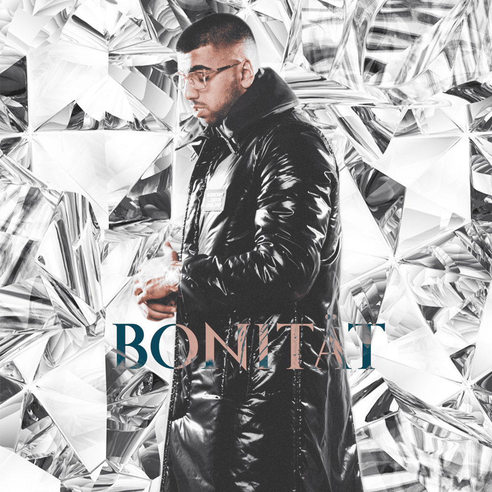 Cover von Bonität