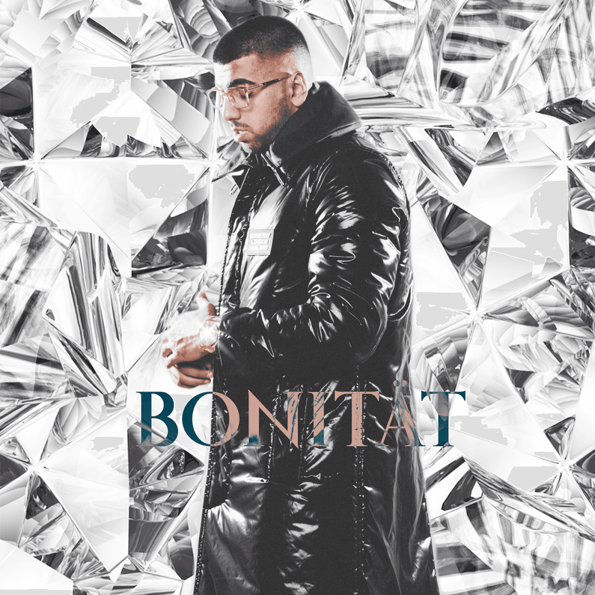 Cover von Bonität Plus