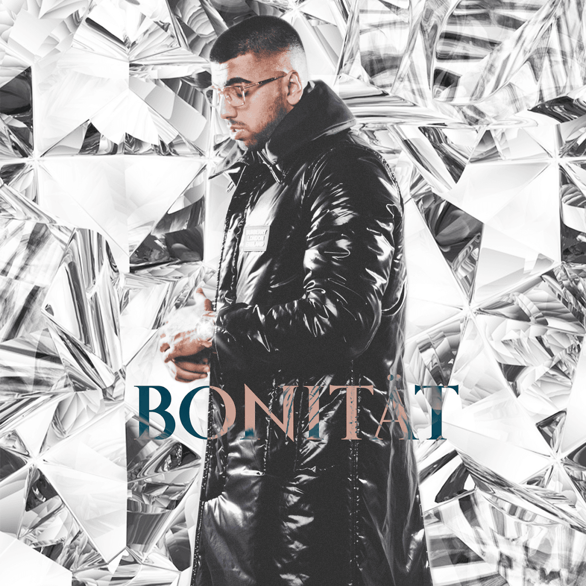 Cover von Bonität Plus