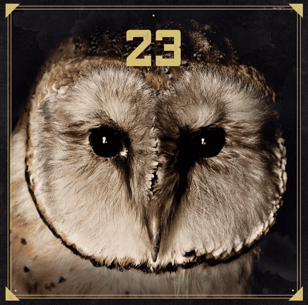 Cover von 23