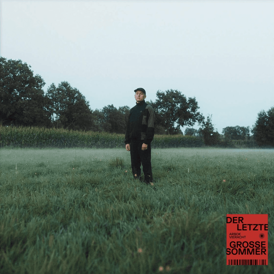 Cover von Der letzte grosse Sommer