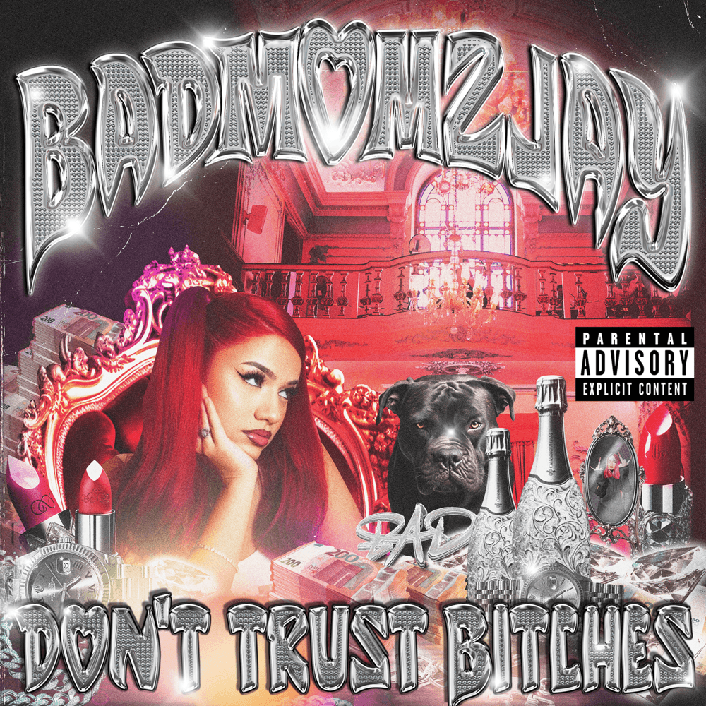 Cover von Don't Trust Bitches