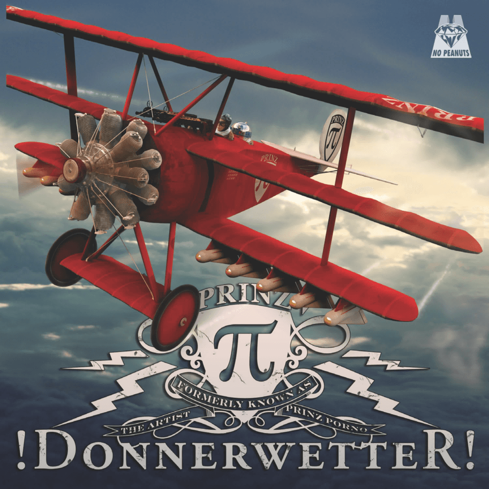 Cover von Donnerwetter