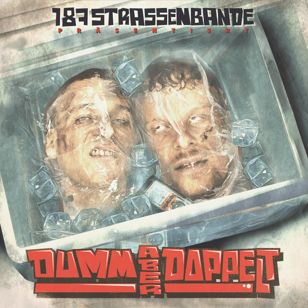 Cover von Dumm aber doppelt
