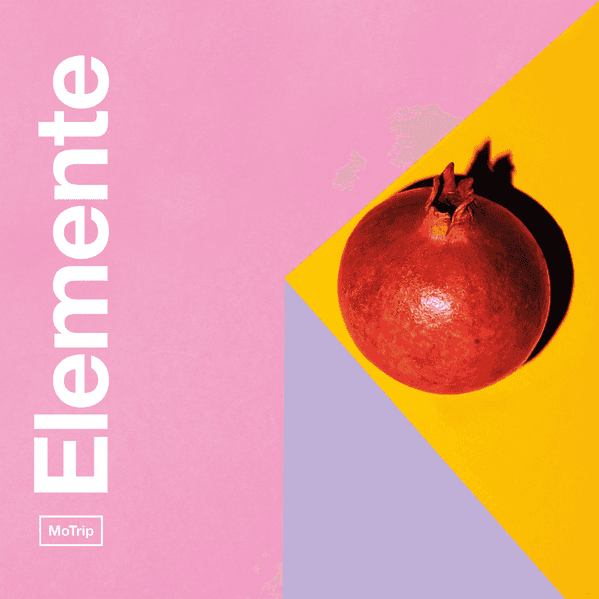 Cover von Elemente