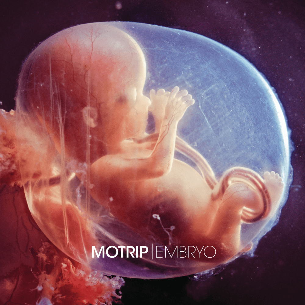 Cover von Embryo