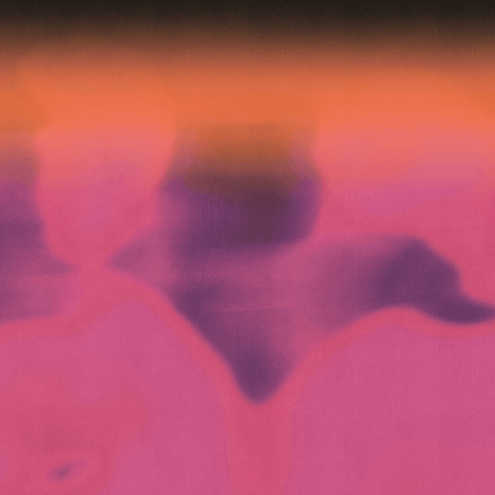 Cover von Euphoria