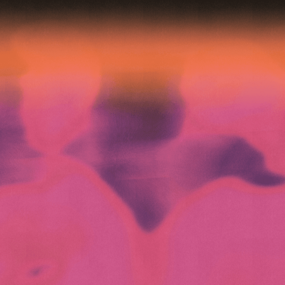 Cover von Euphoria