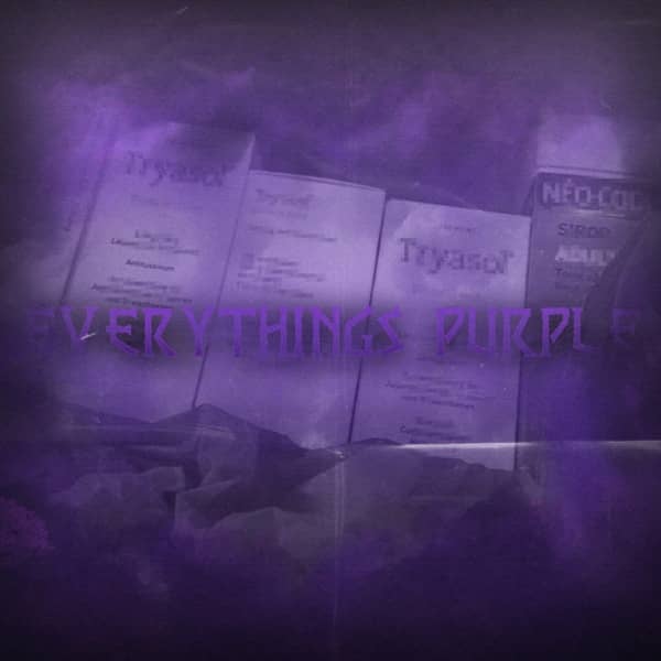 Cover von Everythings Purple