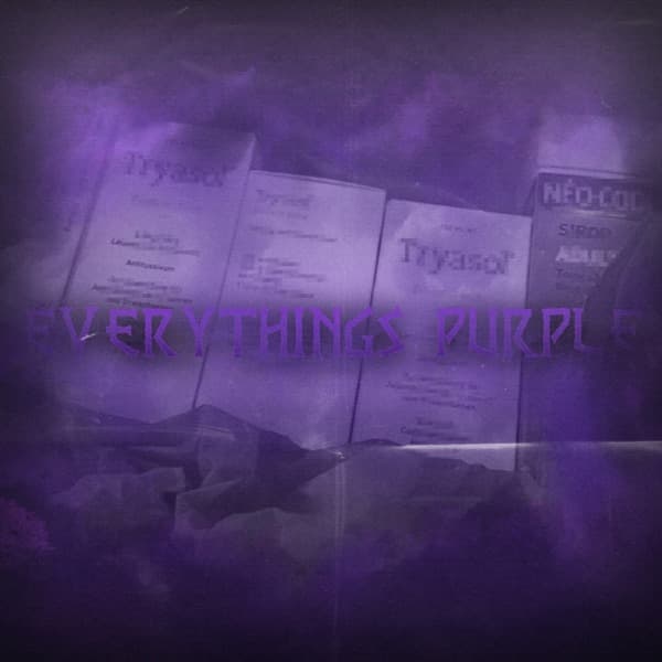 Cover von Everythings Purple