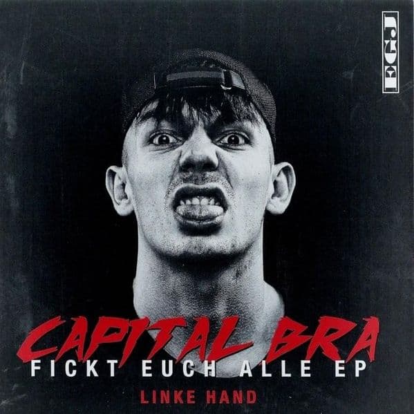 Cover von Fickt euch alle