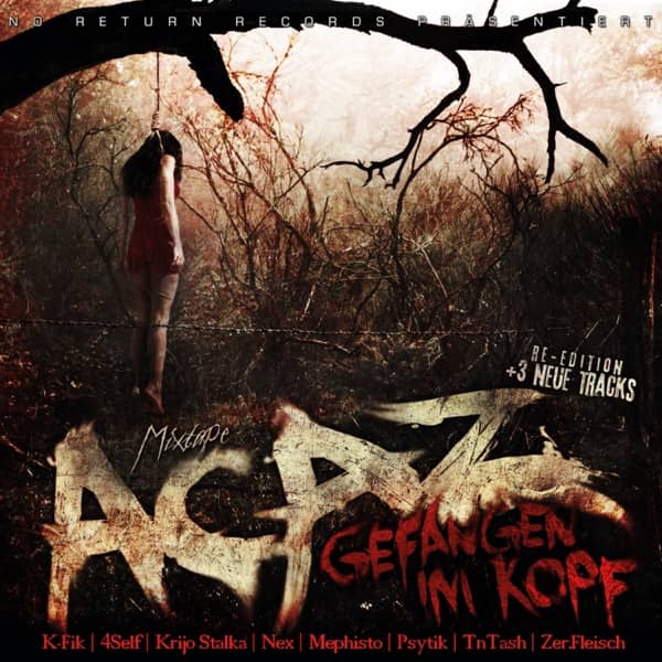 Cover von Gefangen im Kopf