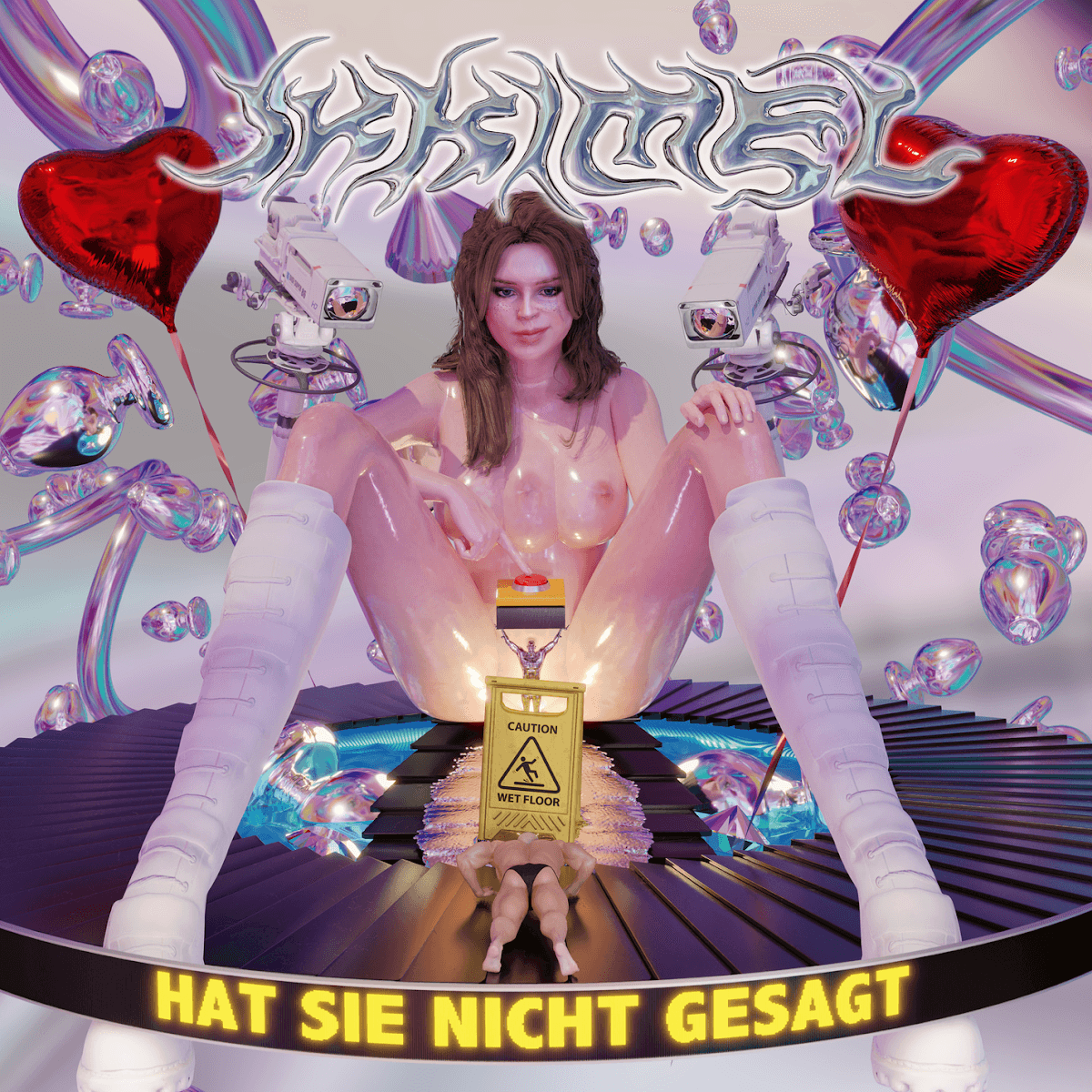 Cover von Hat sie nicht gesagt