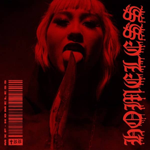 Cover von Homeless