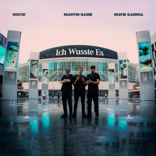 Cover von Ich wusste es