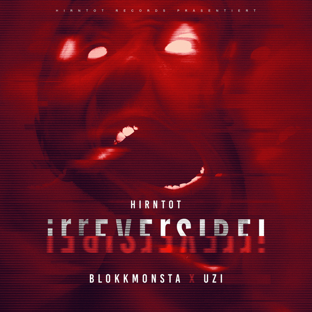 Cover von Irreversibel