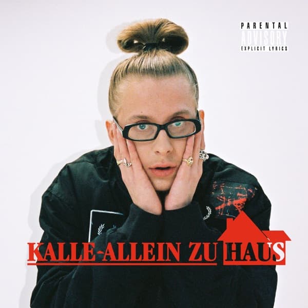 Cover von Kalle allein zu Haus