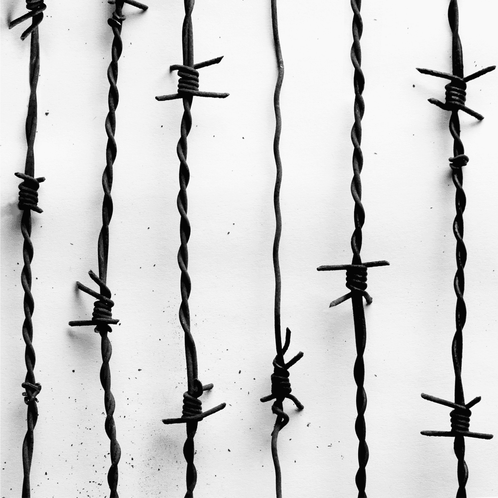 Cover von Lang lebe der Tod