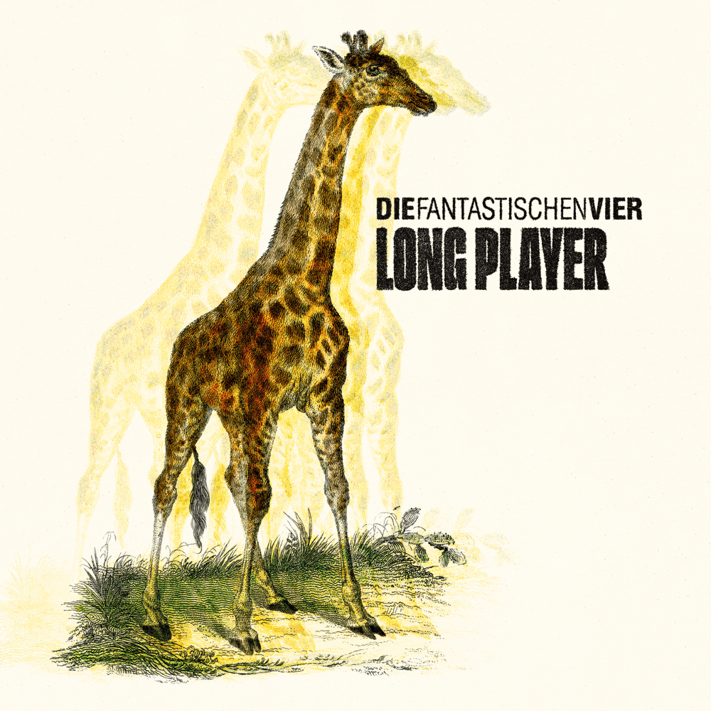 Cover von Long Player