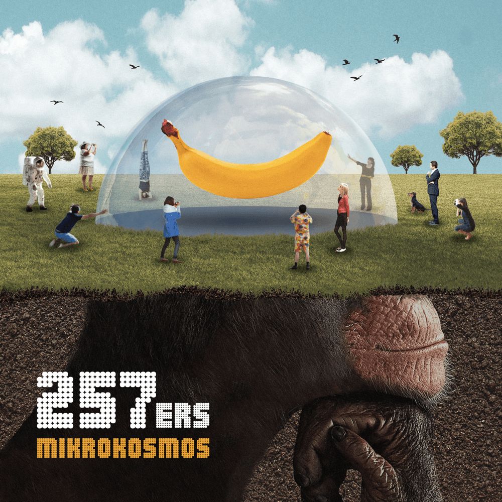 Cover von Mikrokosmos