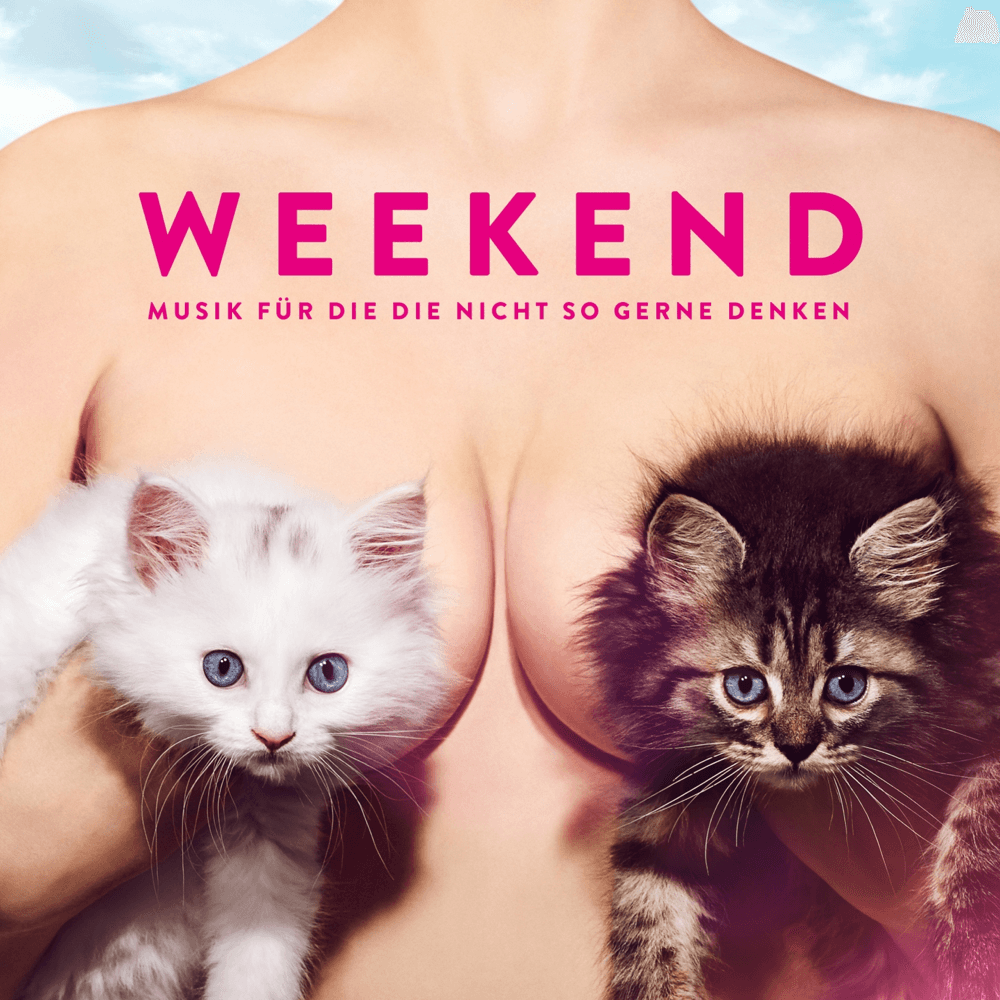 Cover von Musik für die die nicht so gerne denken