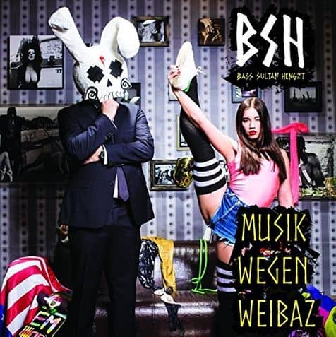 Cover von Musik wegen Weibaz