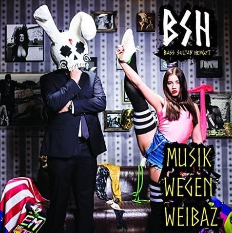 Cover von Musik wegen Weibaz