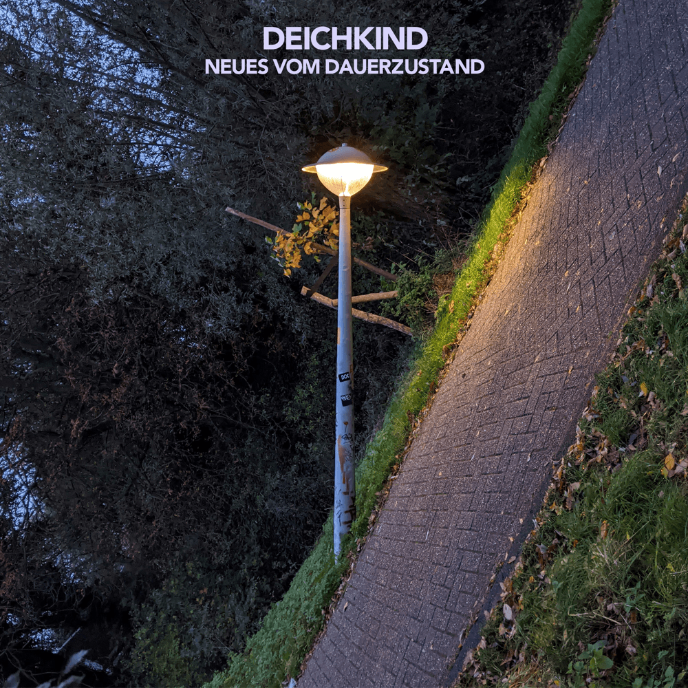 Cover von Neues vom Dauerzustand