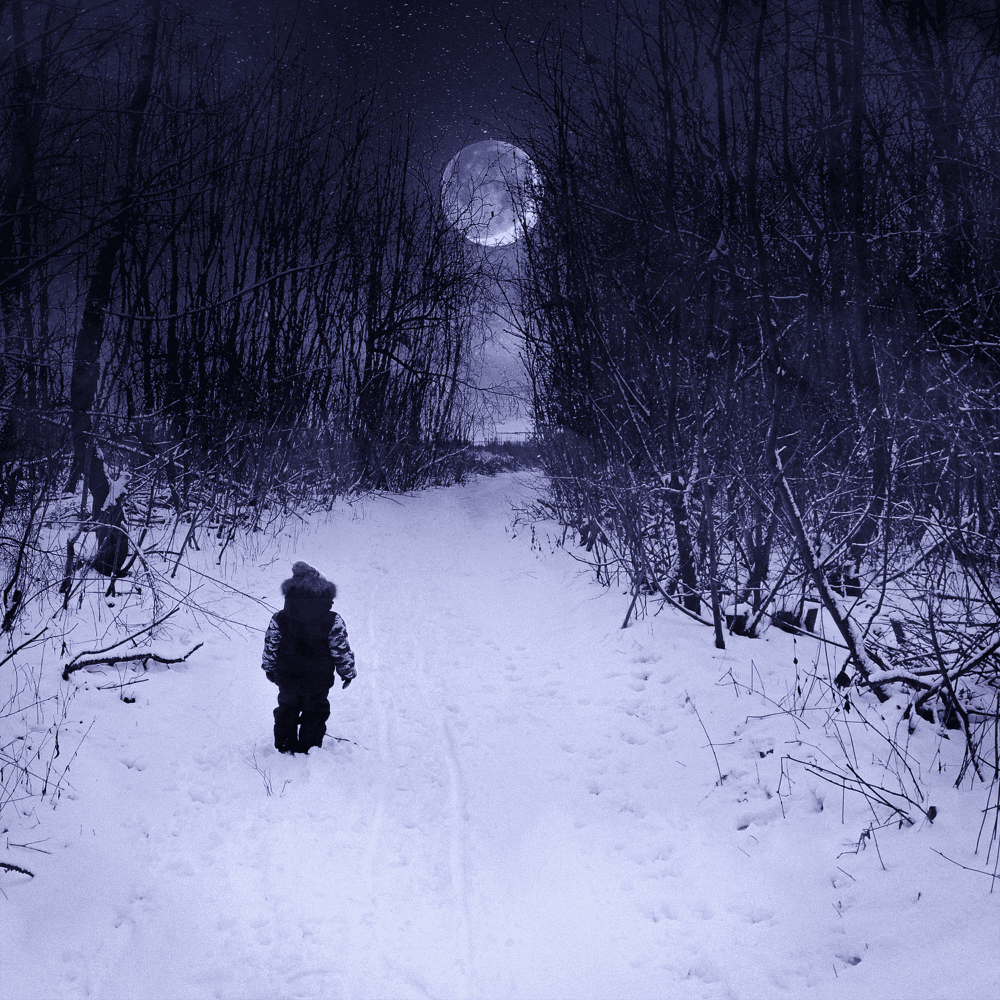 Cover von Nie wieder Winter