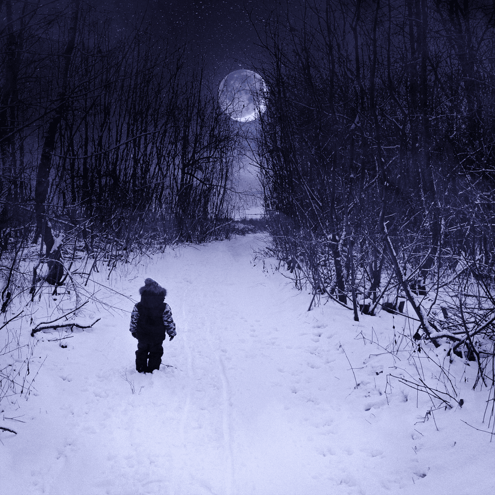 Cover von Nie wieder Winter