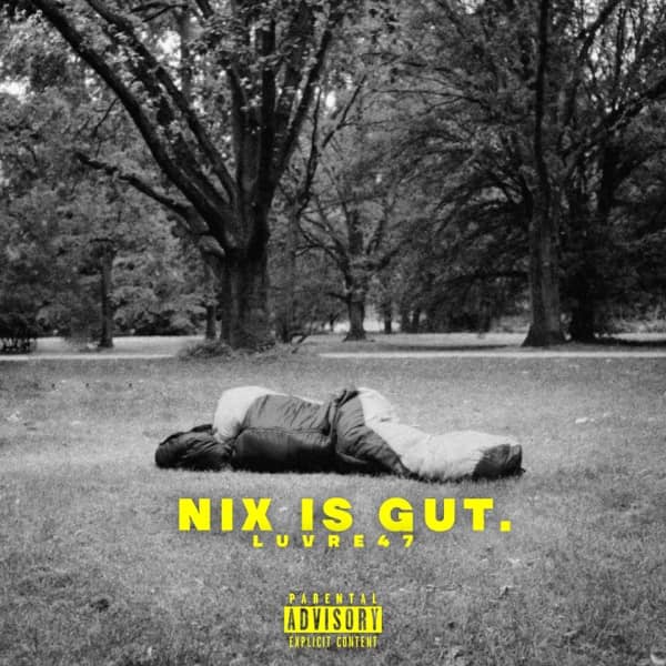 Cover von Nix is gut
