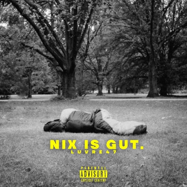 Cover von Nix is gut