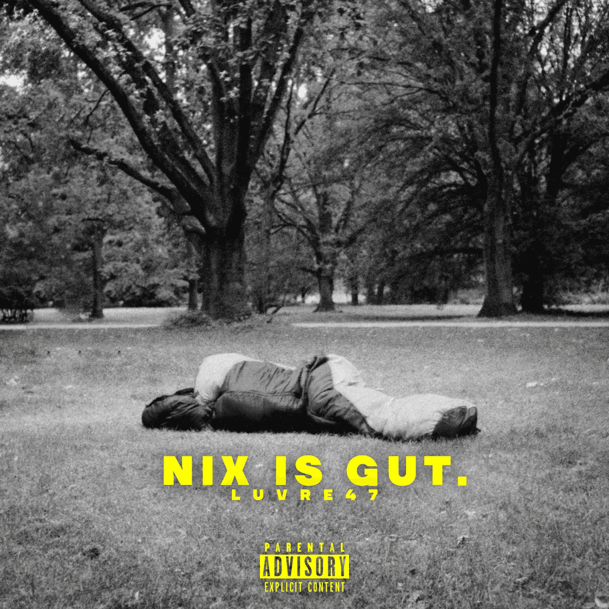 Cover von Nix ist gut