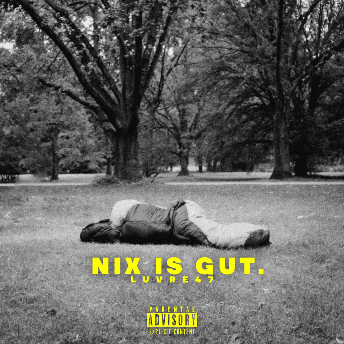 Cover von Nix ist gut
