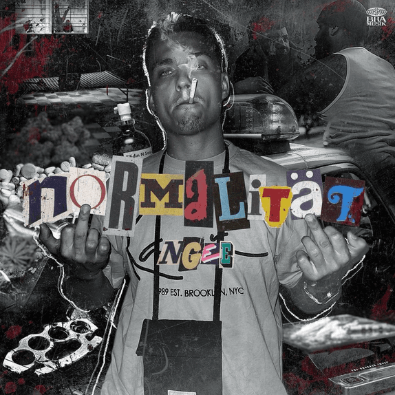 Cover von Normalität