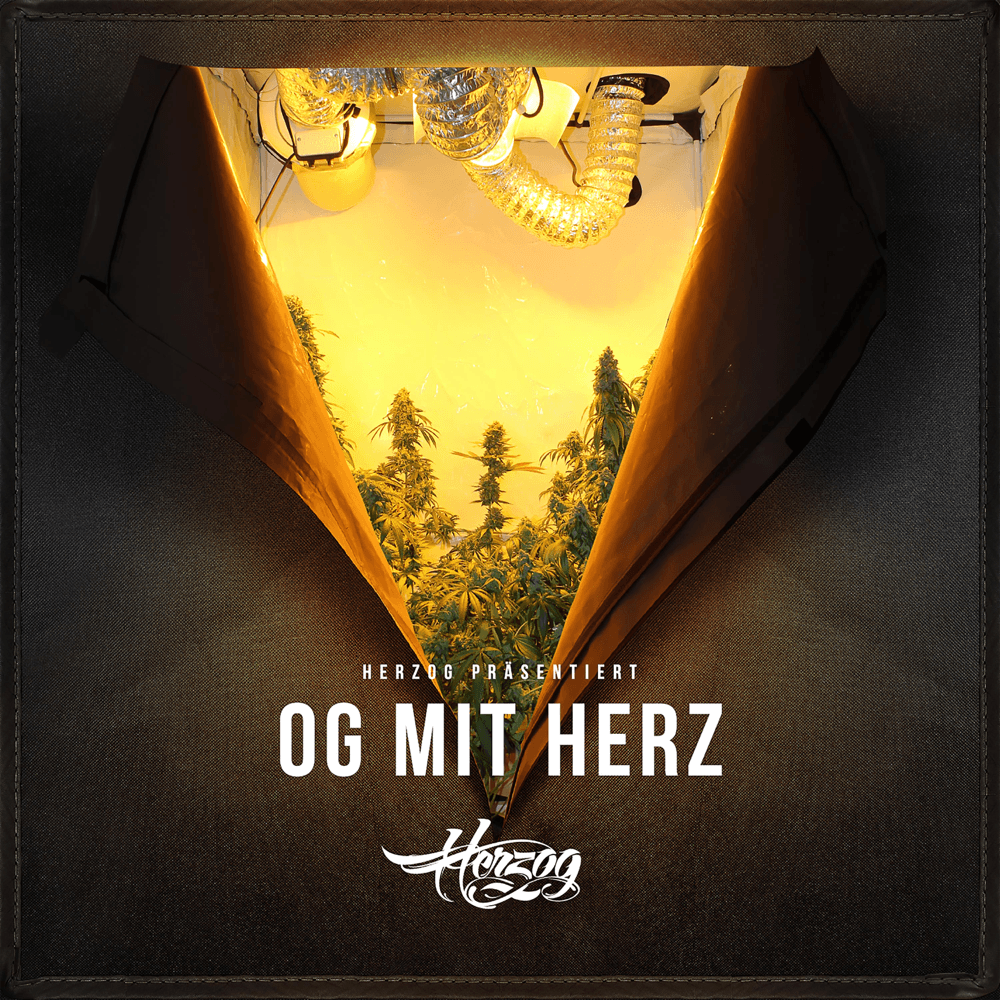 Cover von OG mit Herz