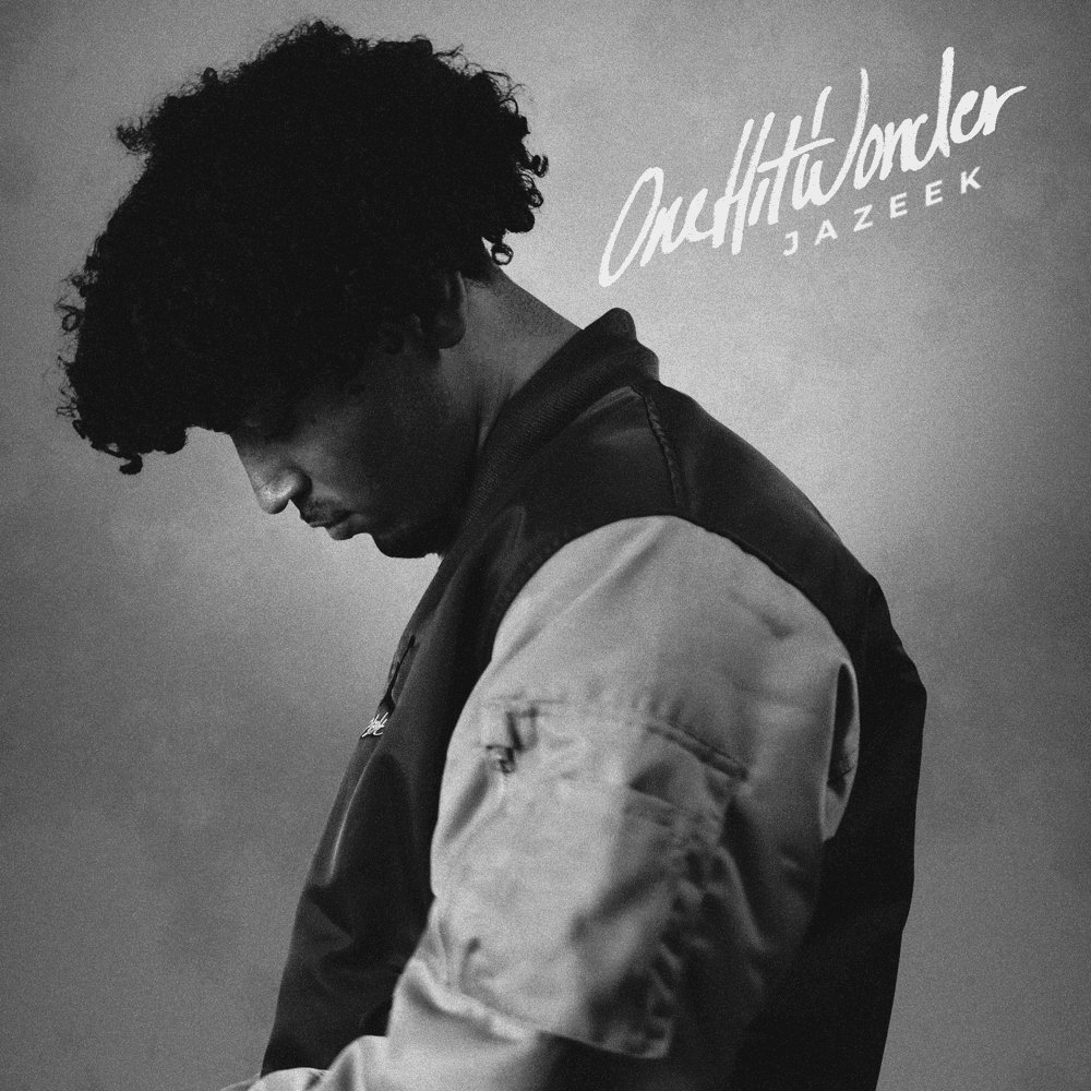 Cover von One Hit Wonder