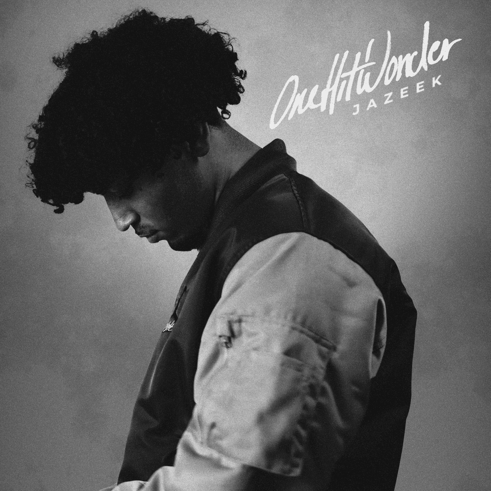 Cover von One Hit Wonder