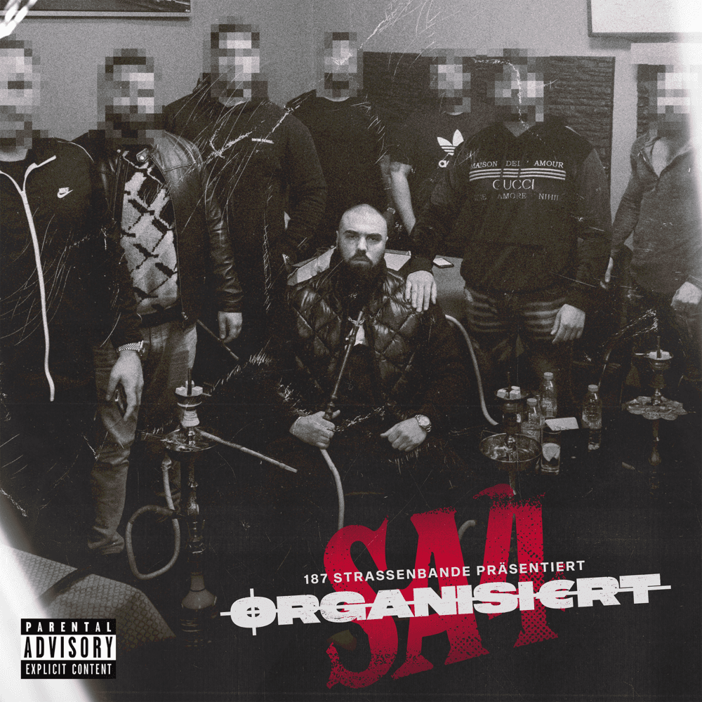 Cover von Organisiert