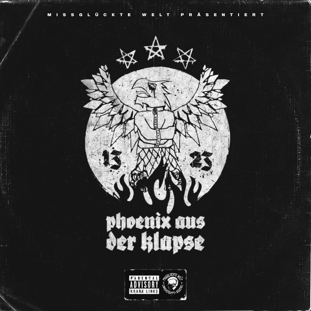 Cover von Phoenix aus der Klapse