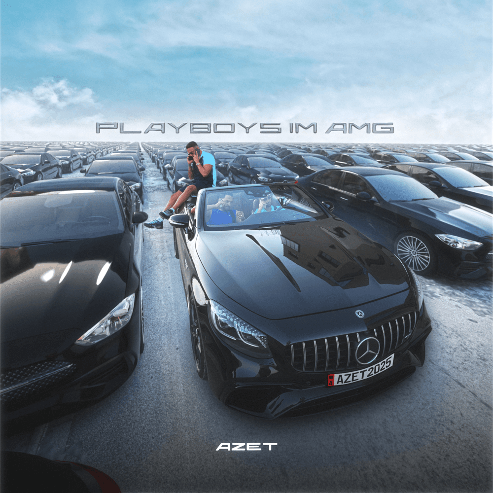 Cover von Playboys im AMG
