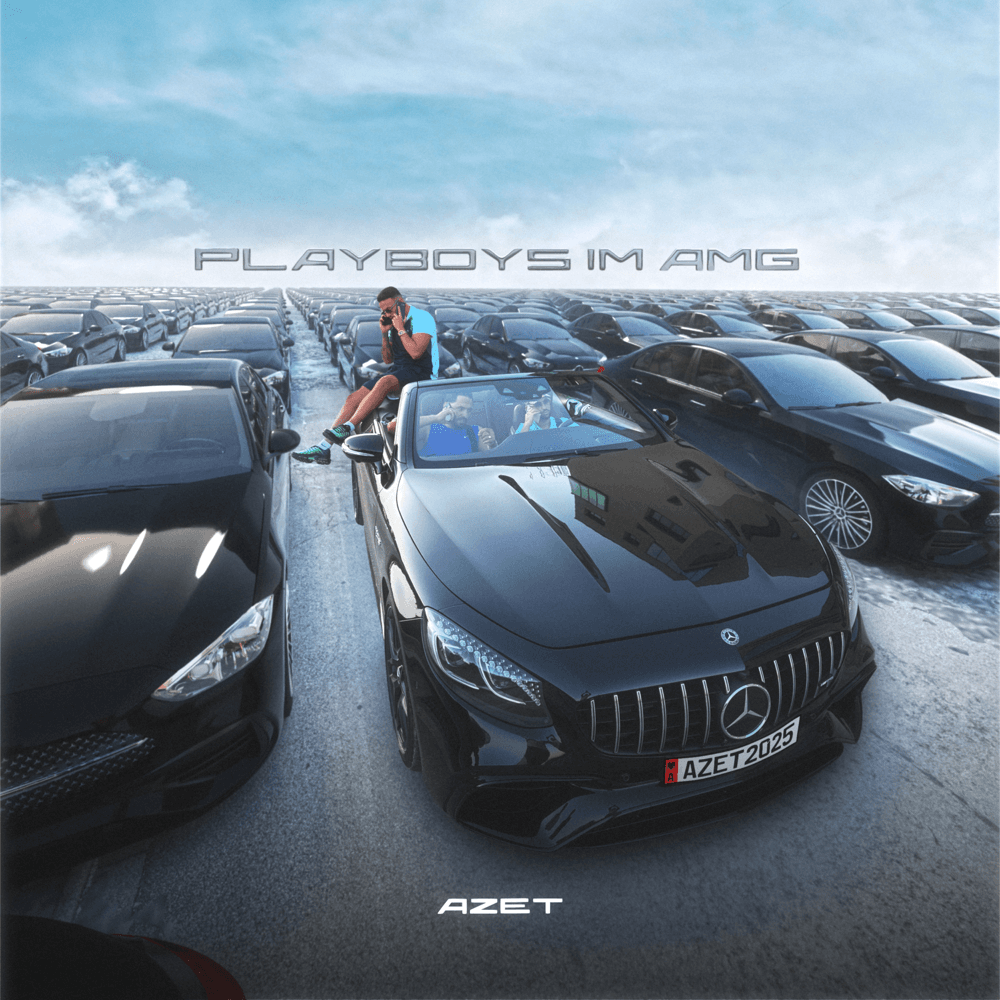 Cover von Playboys im AMG